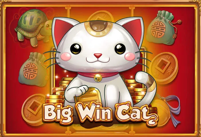 הורדת משחקי קזינו אונליין מ-Casinadocasinodownload