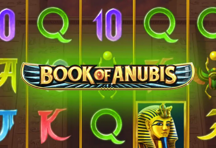 Mobile casino experience available on the Casinadocasinodownload download platform.